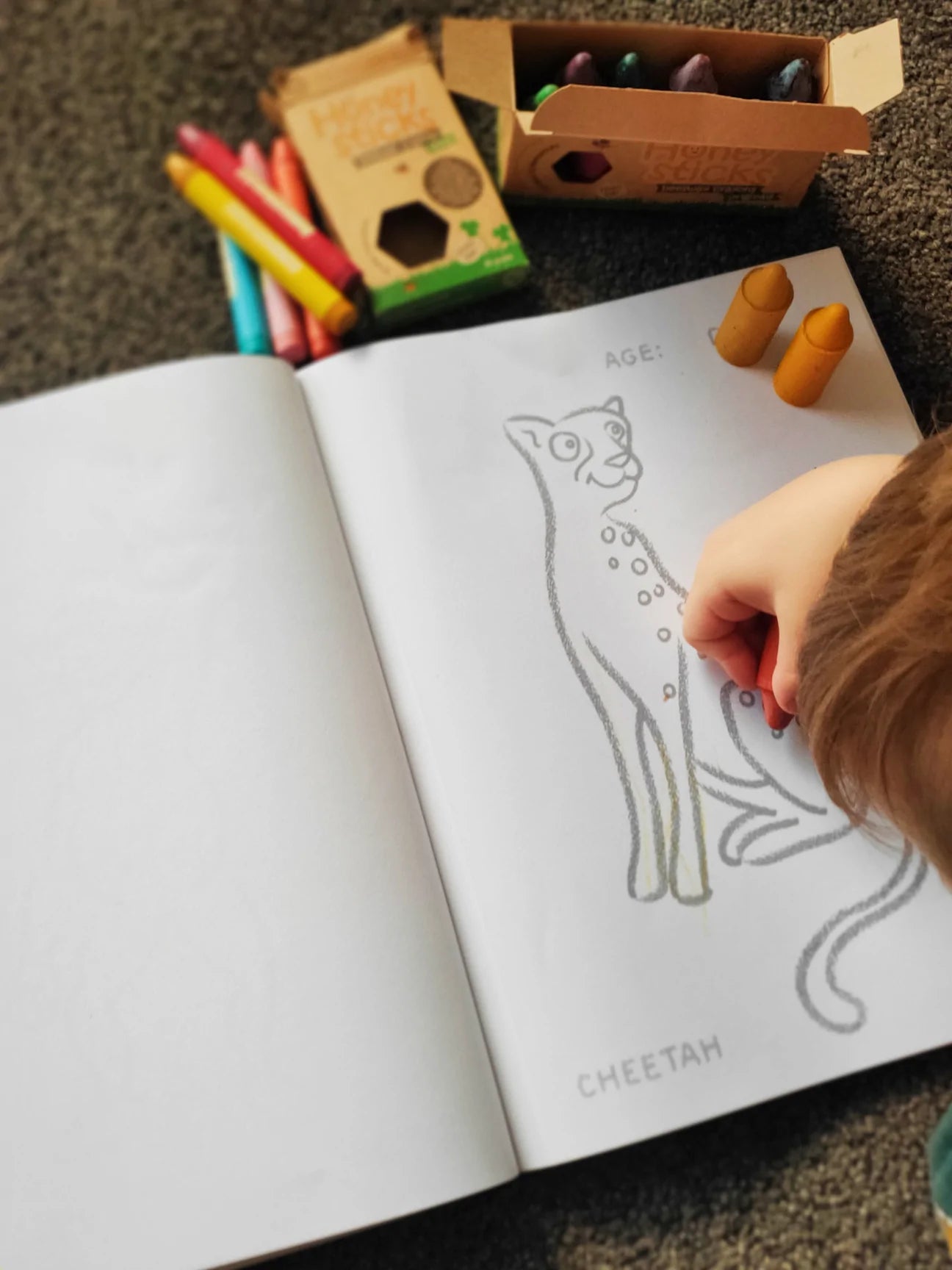 Toddlers first colouring book nz