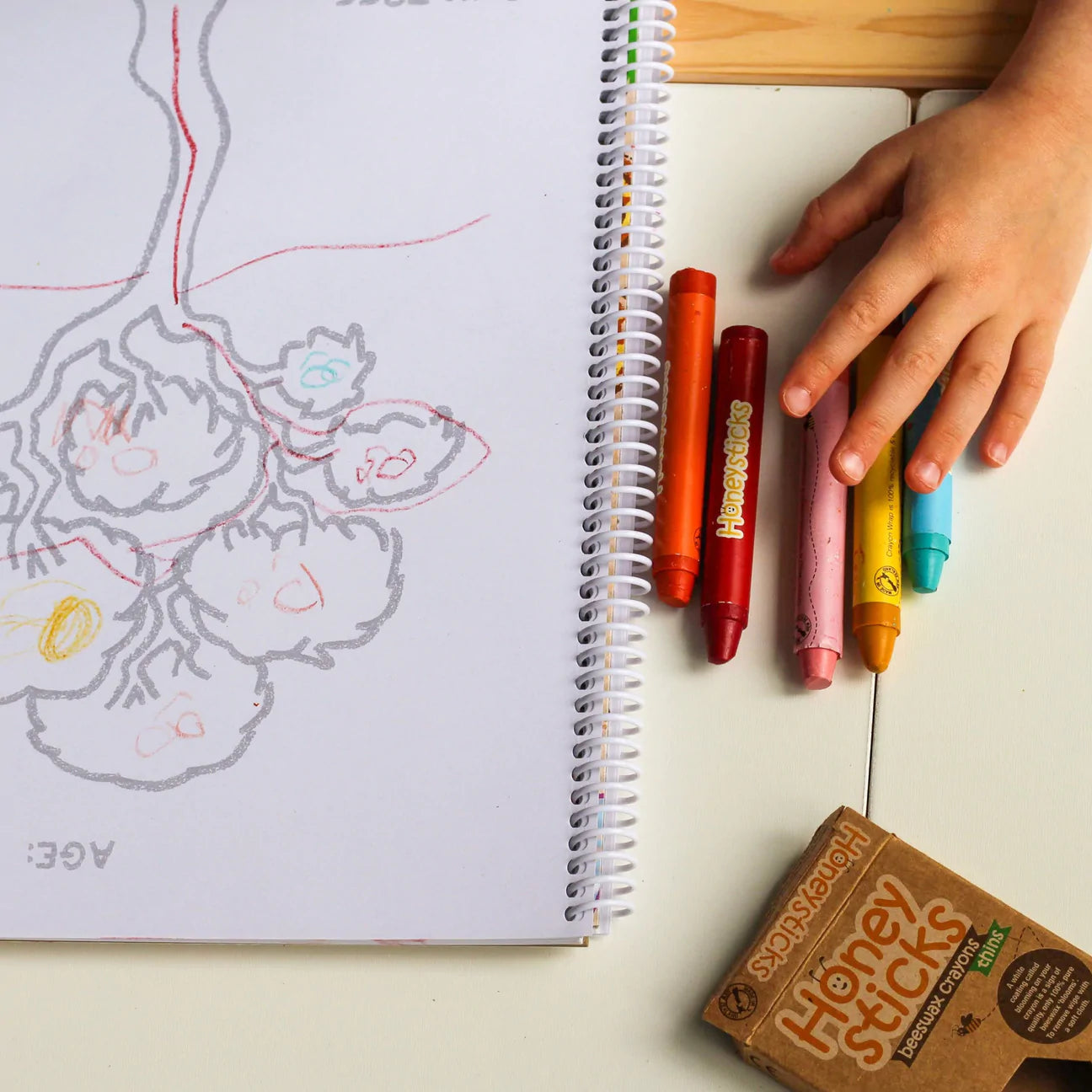 Toddlers first colouring book nz