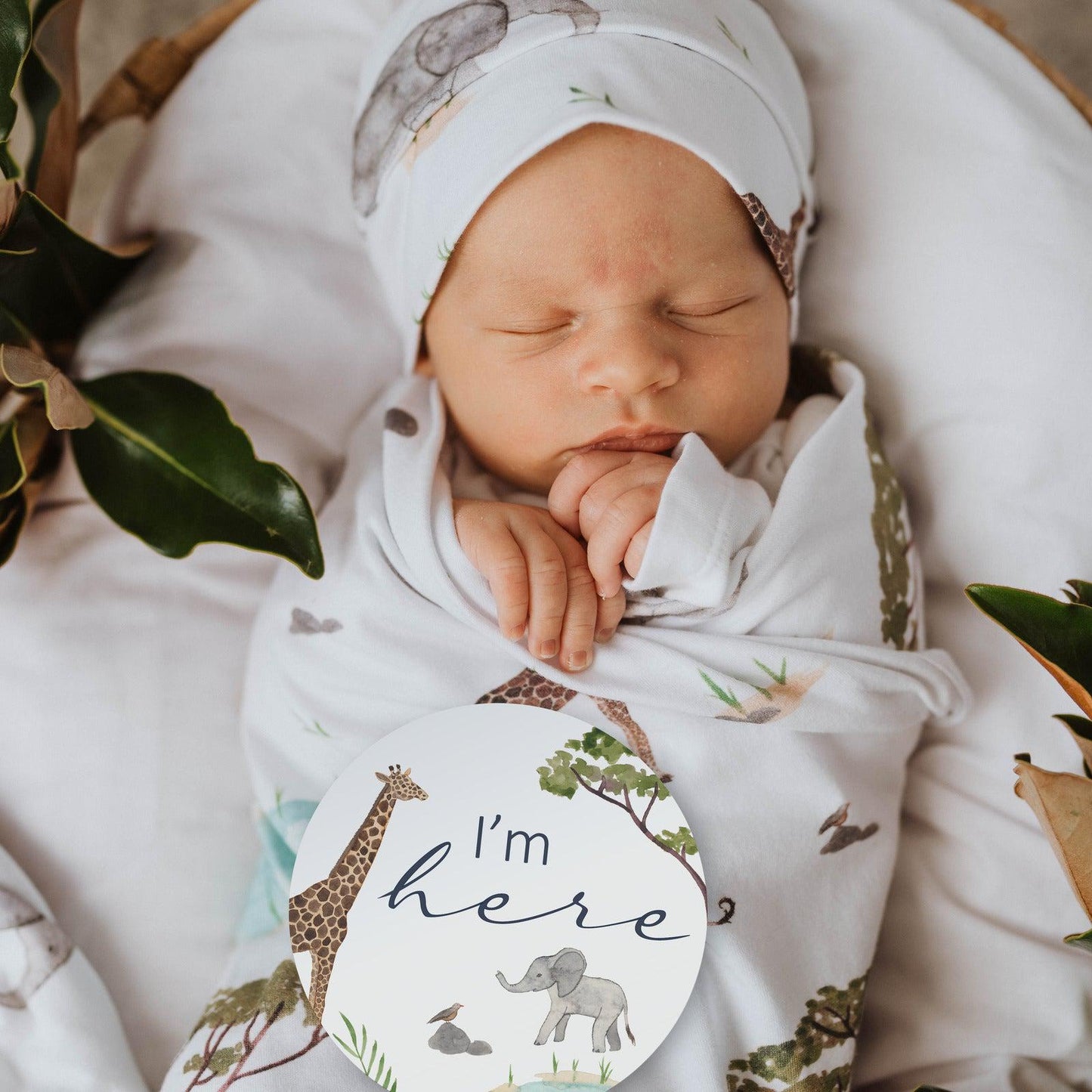 Safari Reversible Milestone Cards-Snuggle Hunny Kids-Baby store NZ Flourish Maternity
